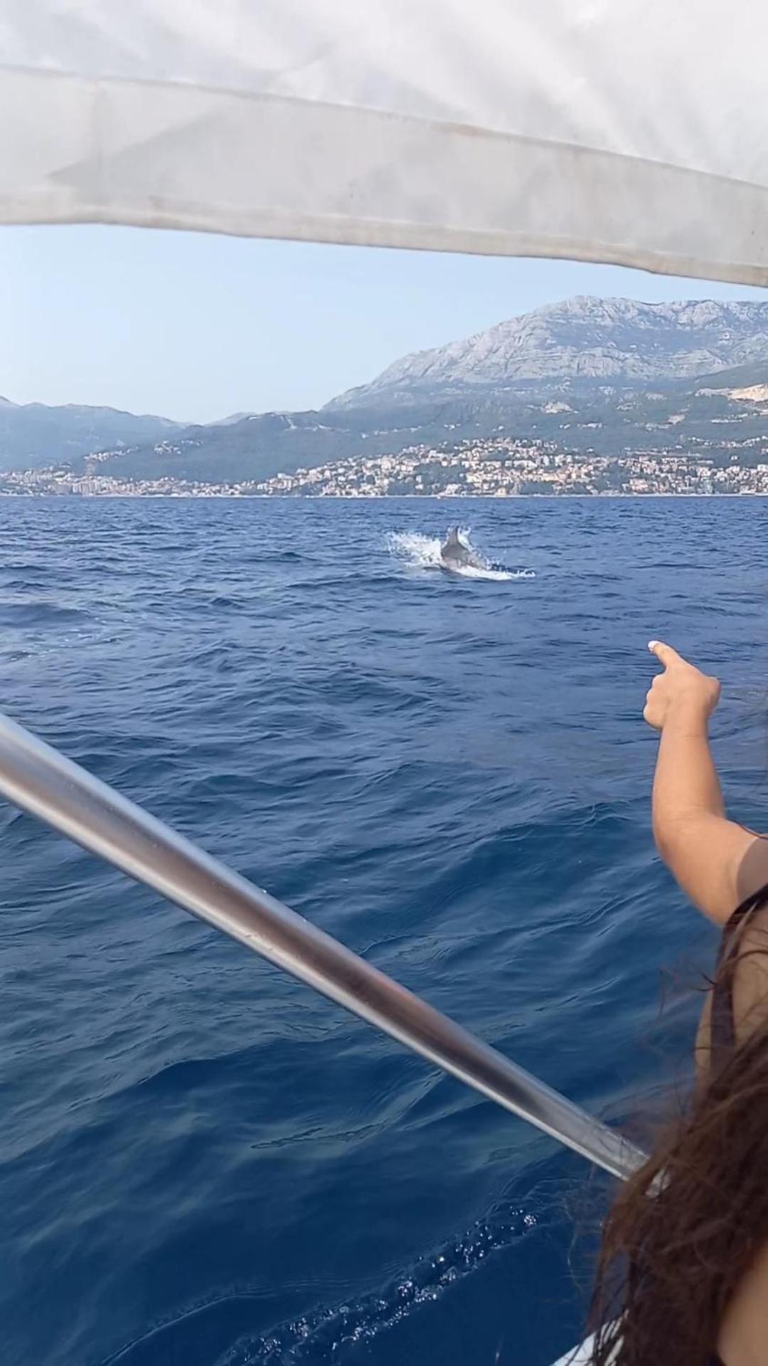 Apartmani Milena Herceg Novi Bagian luar foto